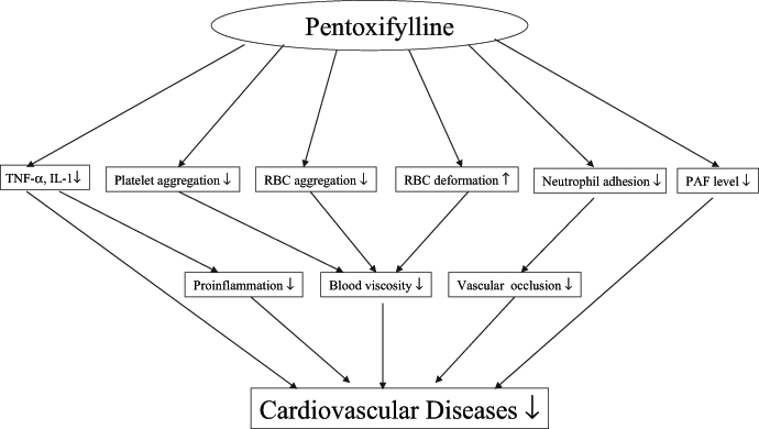 Figure 5)