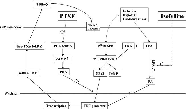 Figure 3)