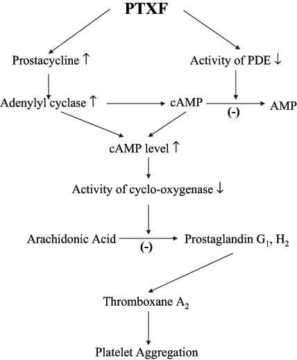 Figure 4)