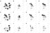 Fig. 8.