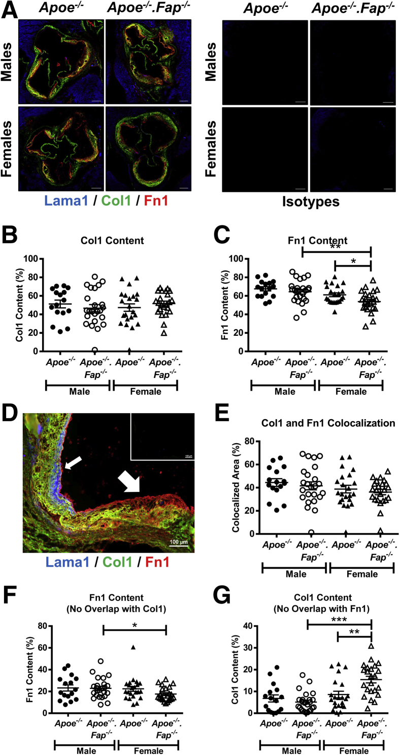 Figure 6