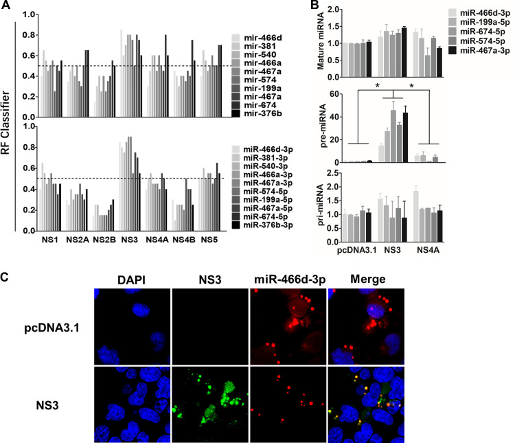 FIG 6