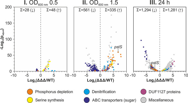 FIG 11