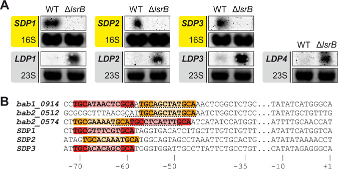 FIG 4