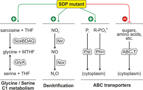 FIG 12