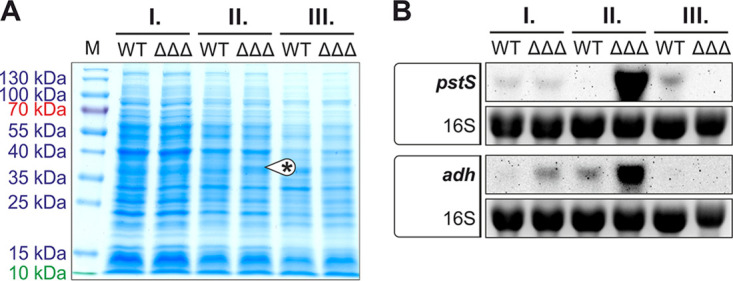 FIG 10