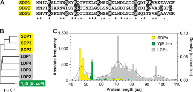 FIG 2