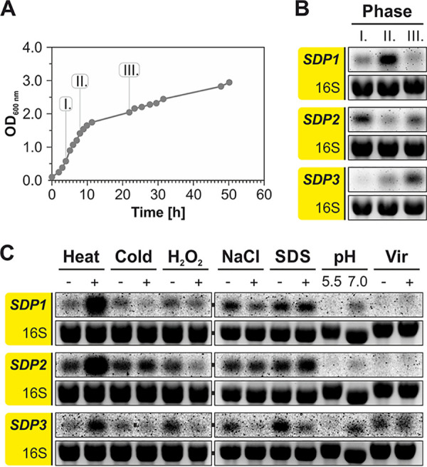 FIG 6