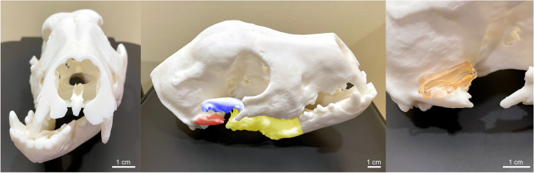 Fig. 3
