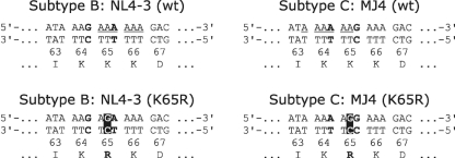 FIG. 1.