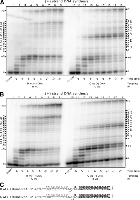 FIG. 2.