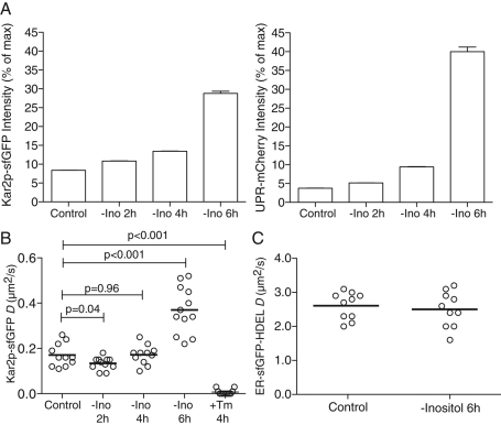 FIGURE 6: