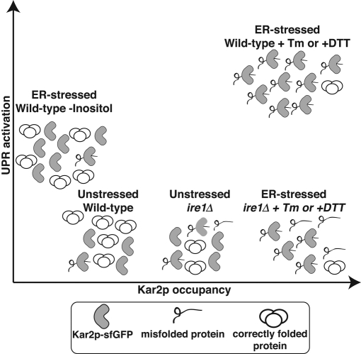 FIGURE 7: