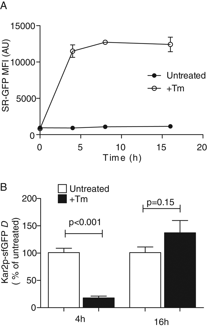 FIGURE 5: