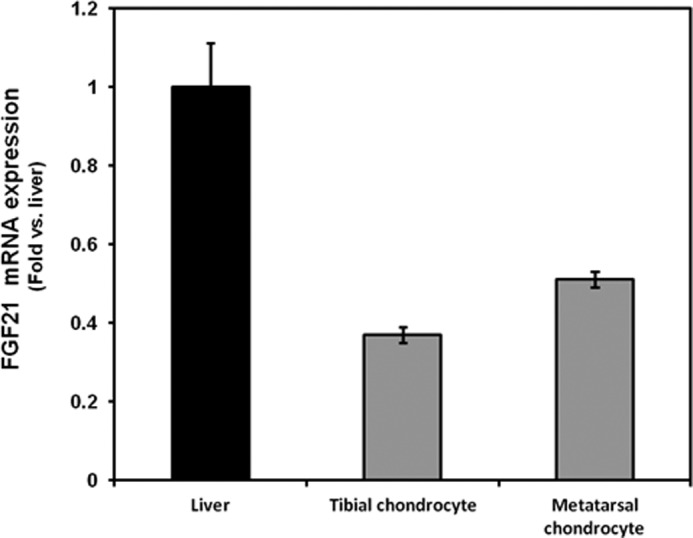 FIGURE 1.