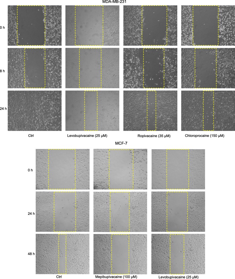 Fig. 4