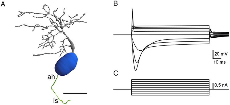 Figure 5.