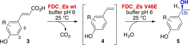 Scheme 3