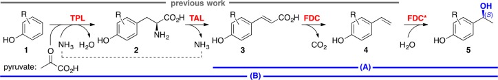 Scheme 1