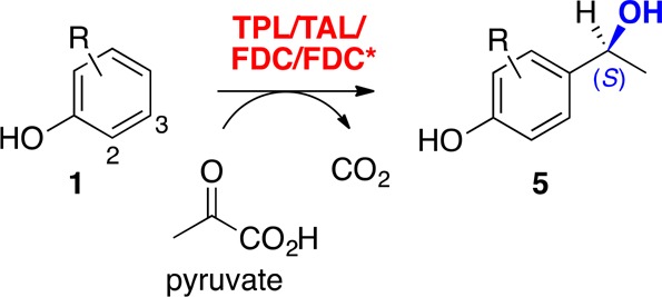 Scheme 4