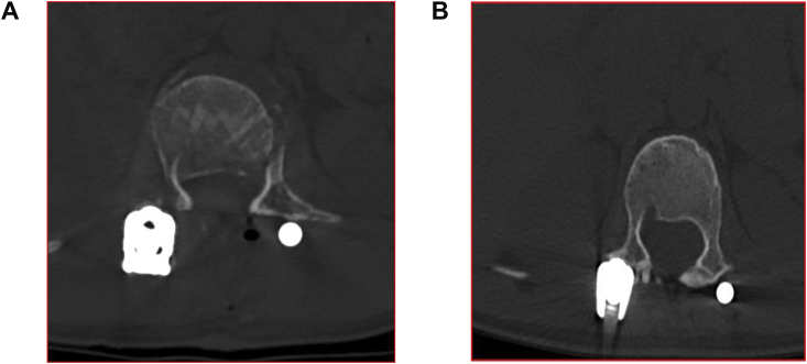 Fig. 5