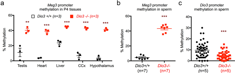 Figure 10.