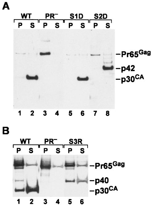 FIG. 5.