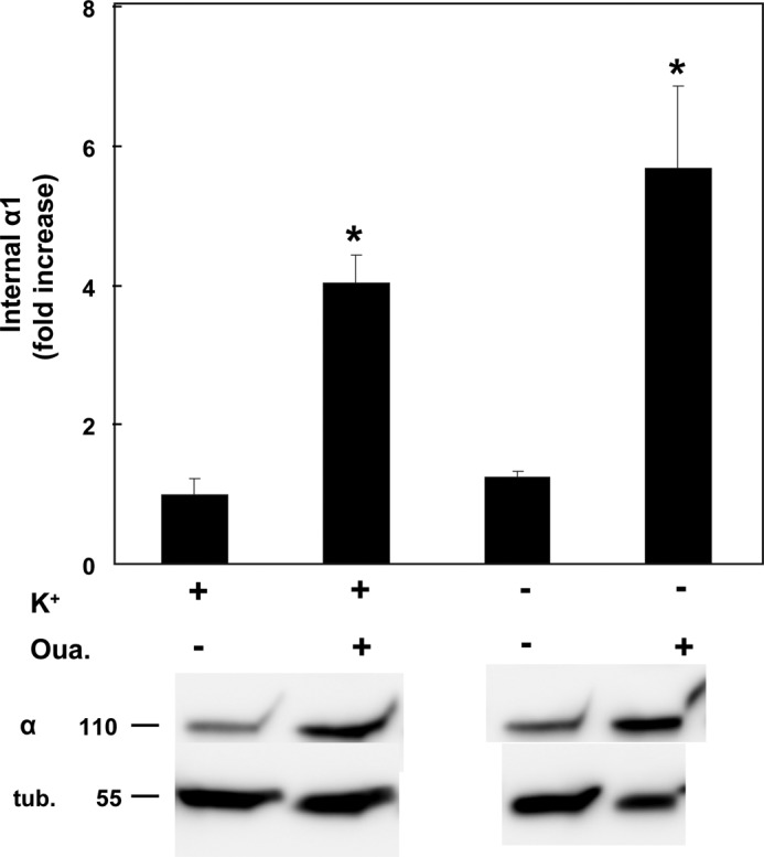 FIGURE 10.