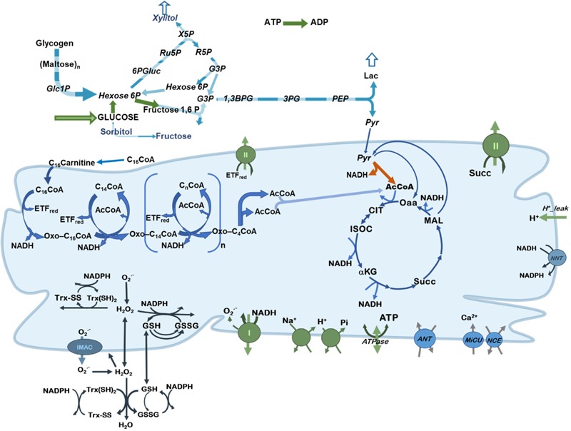 FIGURE 1