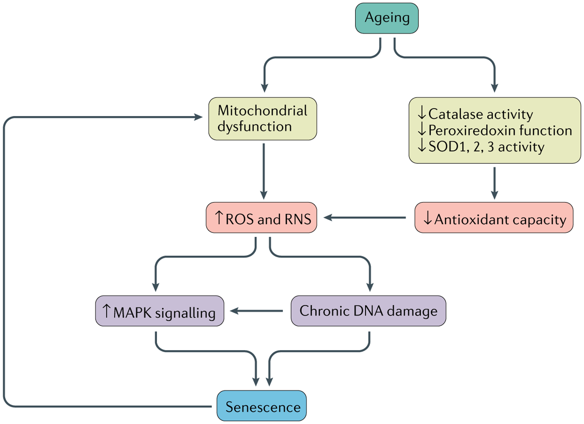 Fig. 2 |