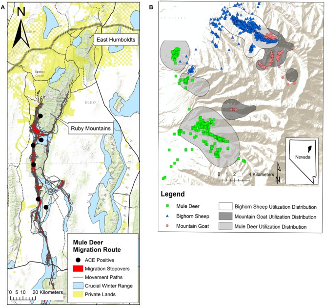 FIGURE 2