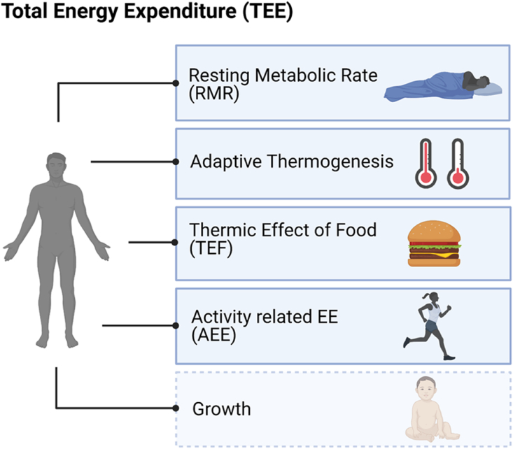 Figure 1