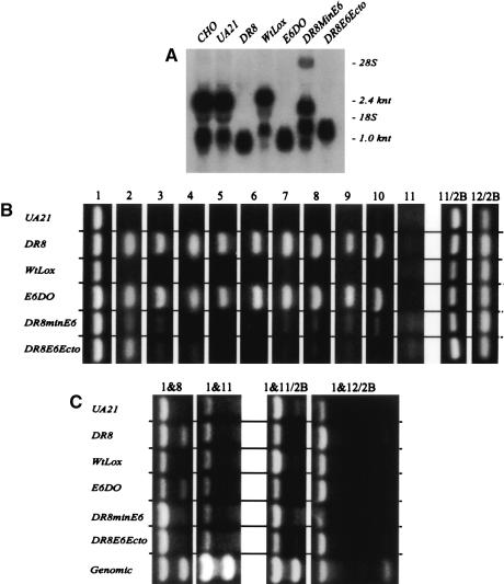 Figure 6.