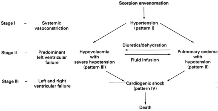 Figure 1  