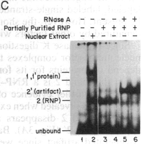 graphic file with name pnas00291-0058-c.jpg