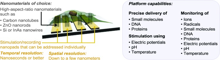 Fig. 9