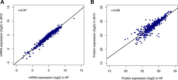 FIG 5