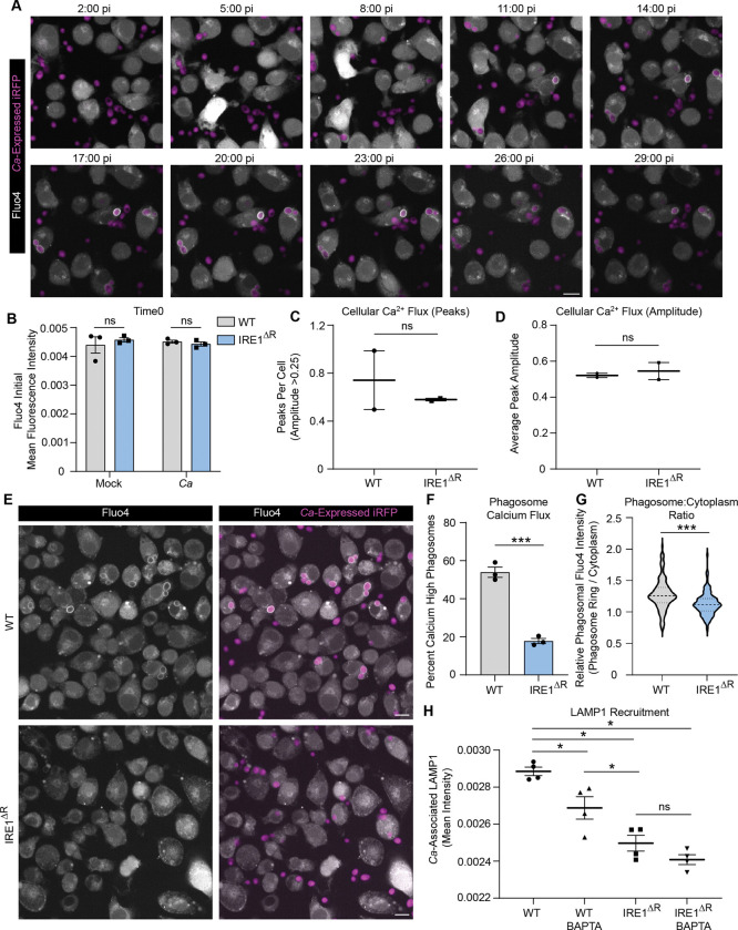 Figure 4: