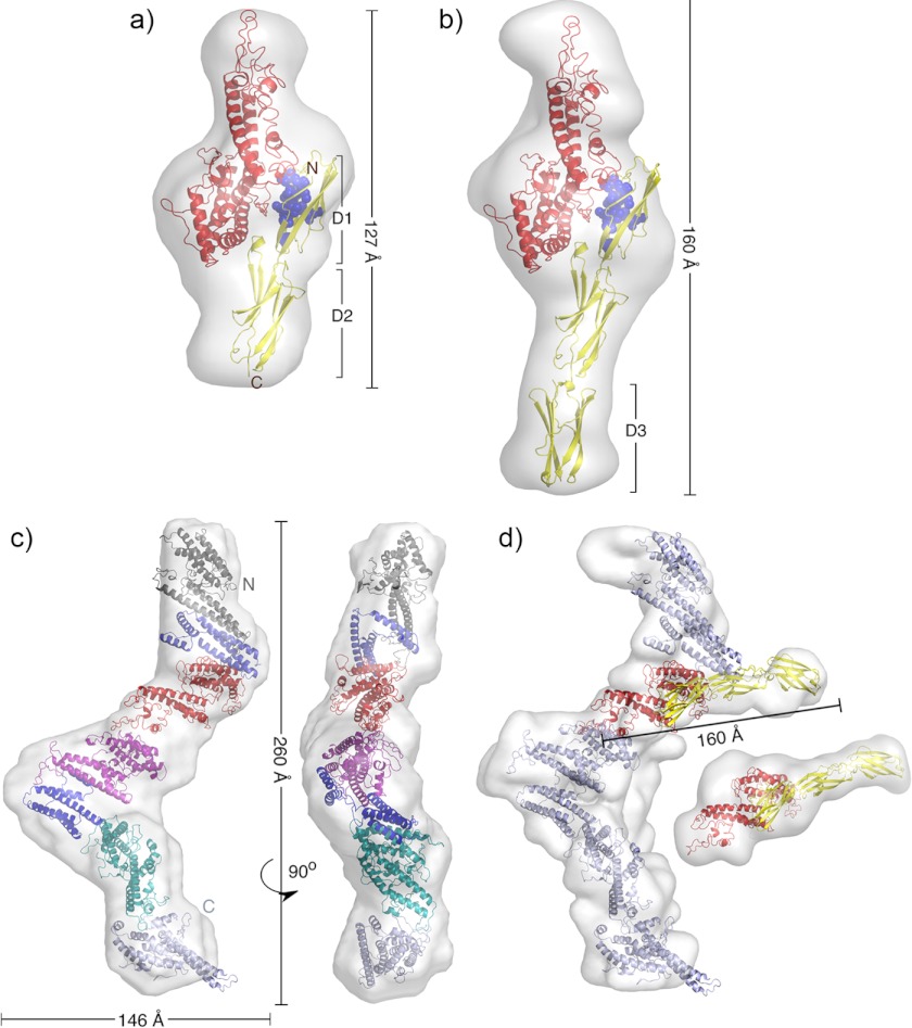 FIGURE 6.