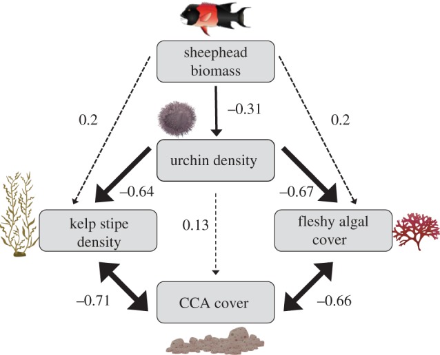 Figure 5.