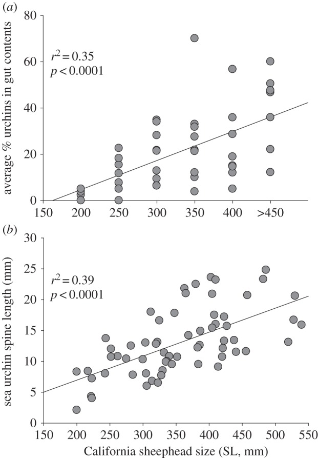 Figure 3.