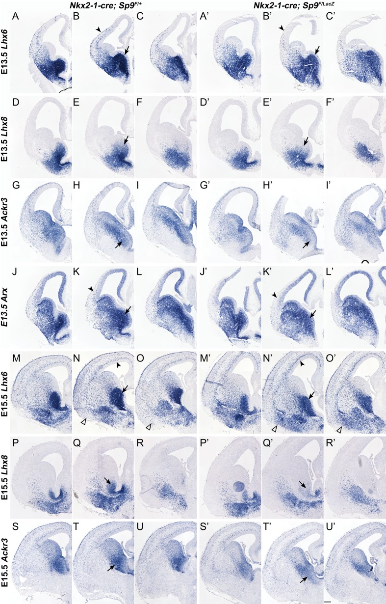 Figure 7.