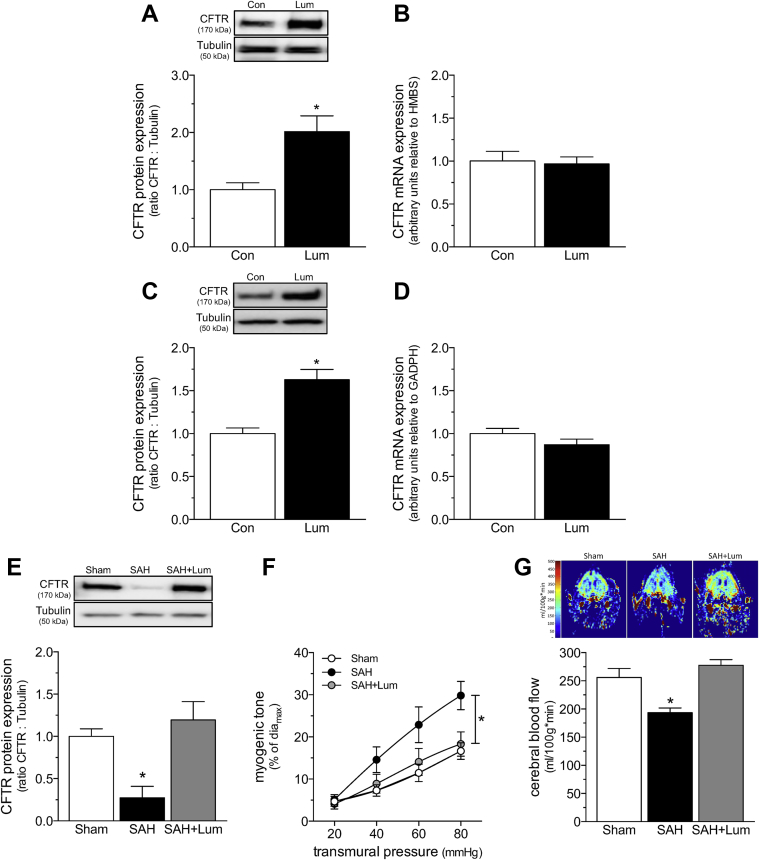 Figure 7