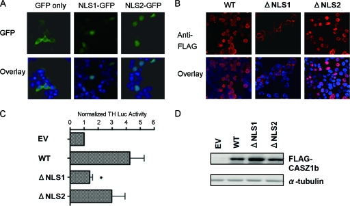 Fig 4