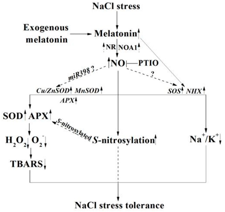 Figure 14