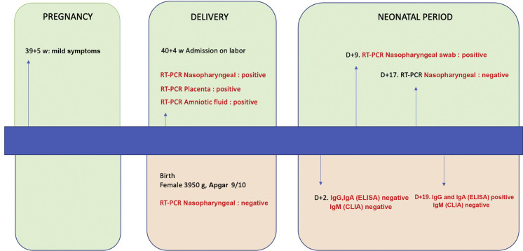 Fig. 1