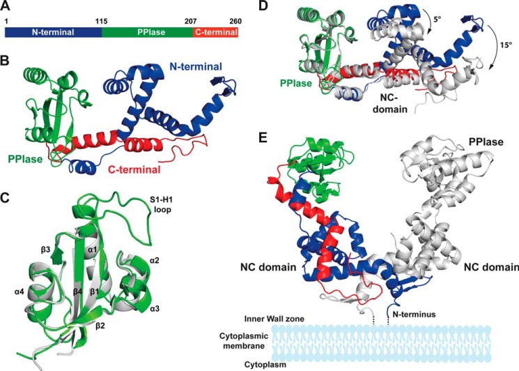 FIGURE 4.