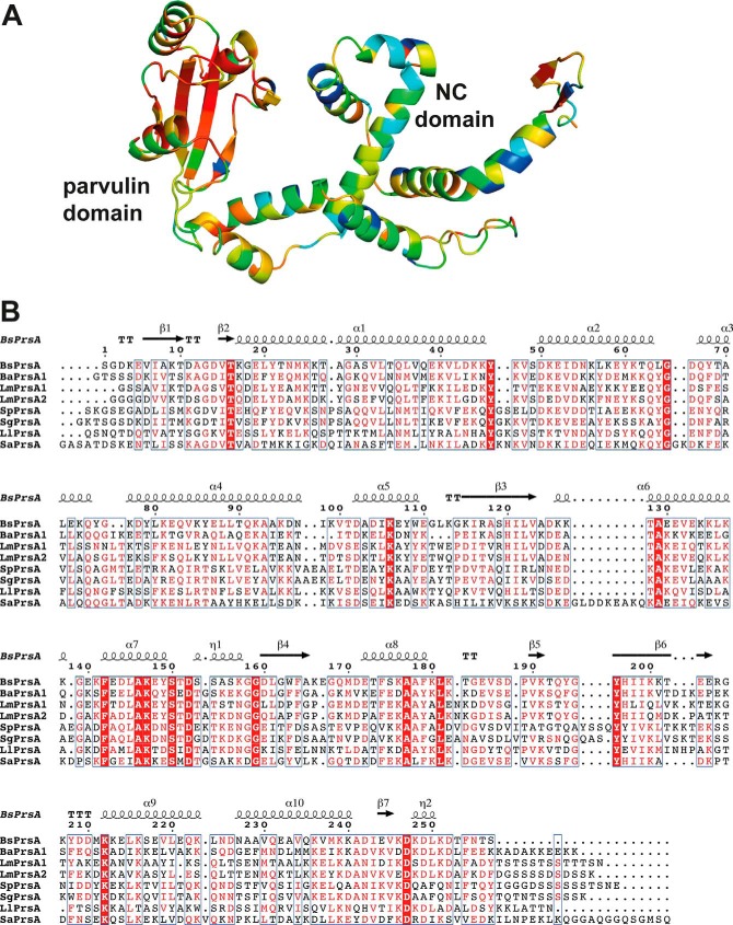 FIGURE 10.