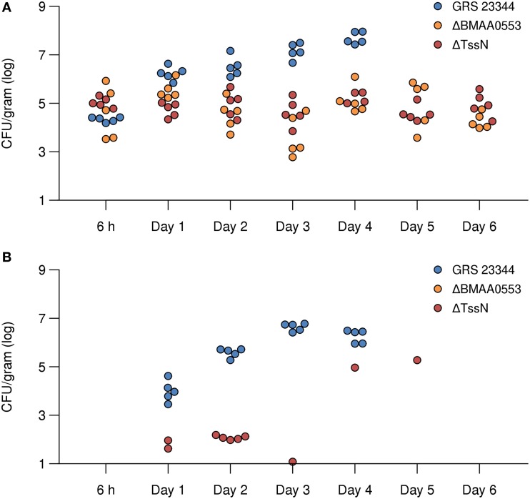 Figure 6