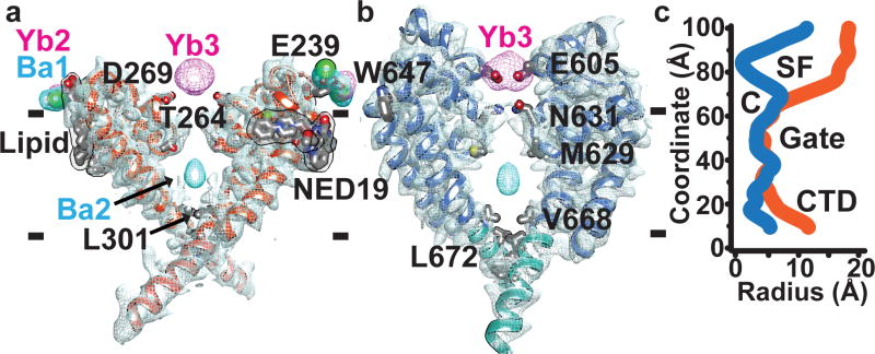 Figure 5